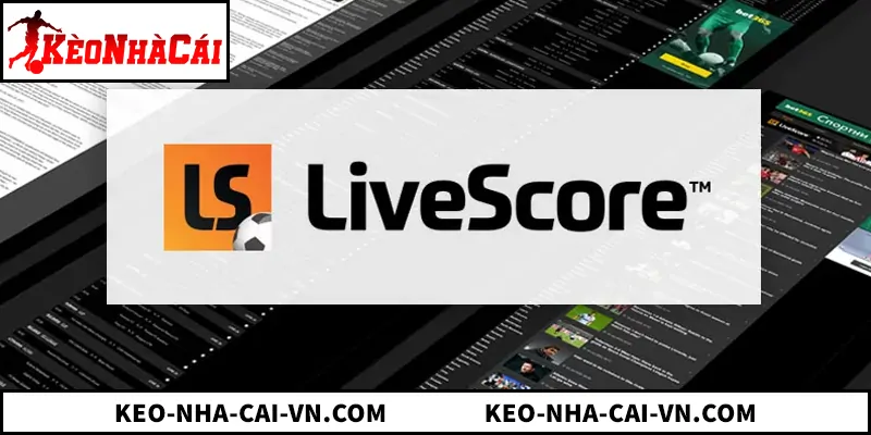 Bản tin Livescore: Cập nhật tỷ số và dữ liệu bóng đá trực tuyến