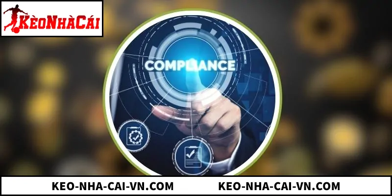 Điều Khoản Điều Kiện: Quy tắc cốt lõi bảo vệ quyền lợi người chơi