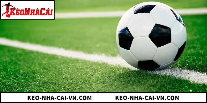 Xác suất kèo Penalty và dữ liệu 5 giải đấu châu Âu